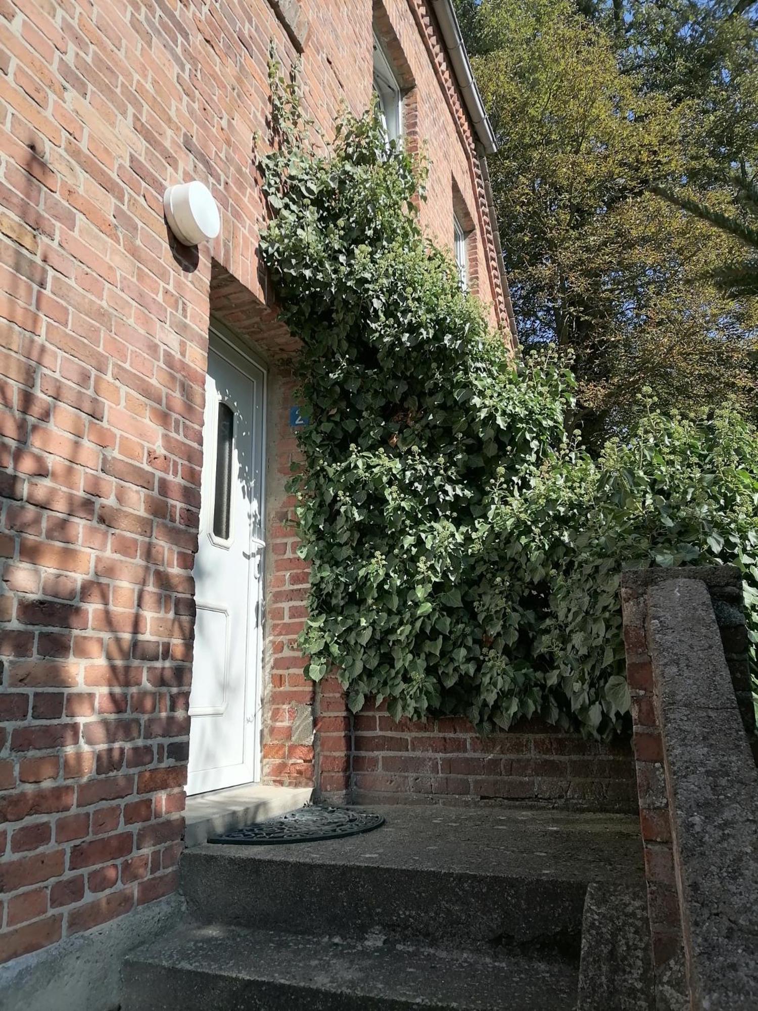 Gutshaus Daemelow Tussen Schwerin En Wismar Eksteriør bilde